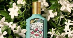 'Divine' Gucci perfume with more than 1,300 five-star reviews has £40 off