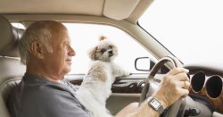 Crucial DVLA rule over-70s must follow for driving in the UK - or risk fine
