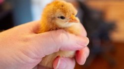 Britain must end needless horror – warm words from No10 simply won't cut it