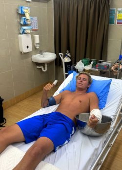 Tourist survives box jellyfish sting from 'world's most venomous animal'