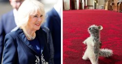 Queen Camilla to reunite beloved Winnie the Pooh toy during US state visit