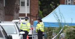 Afghan migrant admits stabbing two people in attack targeting boy, 14, as dog walker died