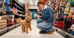 Pet shop chain closes all branches with immediate effect citing spiralling costs