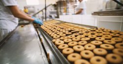 Major biscuit company plunges into liquidation - in business since 1967