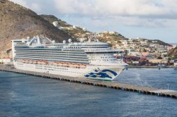 Panic as cruise ship with 110 people sick with norovirus docks in Florida