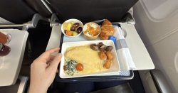 Not British Airways, Virgin or Emirates — airline with best food named and it's 'amazing'