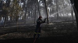 Firefighters struggle to contain deadly Greek wildfire