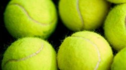 Djokovic breaks Federer's Wimbledon record to reach quarters