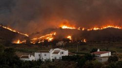 Badly burned British couple rescued from ravine during Spain wildfires, reports say