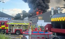 Horror fire at The Jungle Box mini-zoo as all animals inside building killed