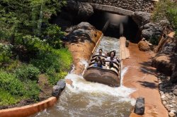 Disneyland horror as boy, 13, falls 50ft on Tiana's Bayou Adventure ride
