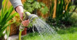 Hosepipe ban introduced for 850k Brits in Kent as another UK heat record broken