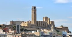 Lleida bus crash: 12 ambulances swarm street after horror incident involving bus