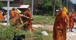 Eight monks dead and 13 more injured as 'truck crashes into pilgrimage' in Thailand