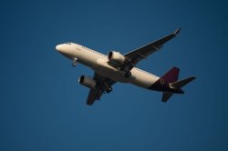 All flights cancelled and staff laid off as 11 travel firms collapse